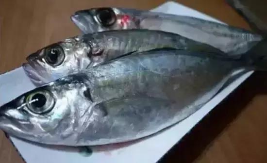 海南行吟，漫步南海之滨的岁月诗篇