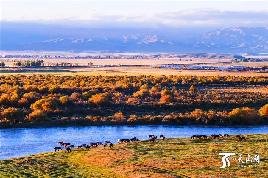 梦想之翼下,新疆奋斗交响曲