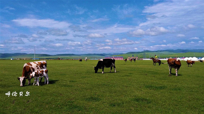 呼伦贝尔,自然与人文的和谐交响