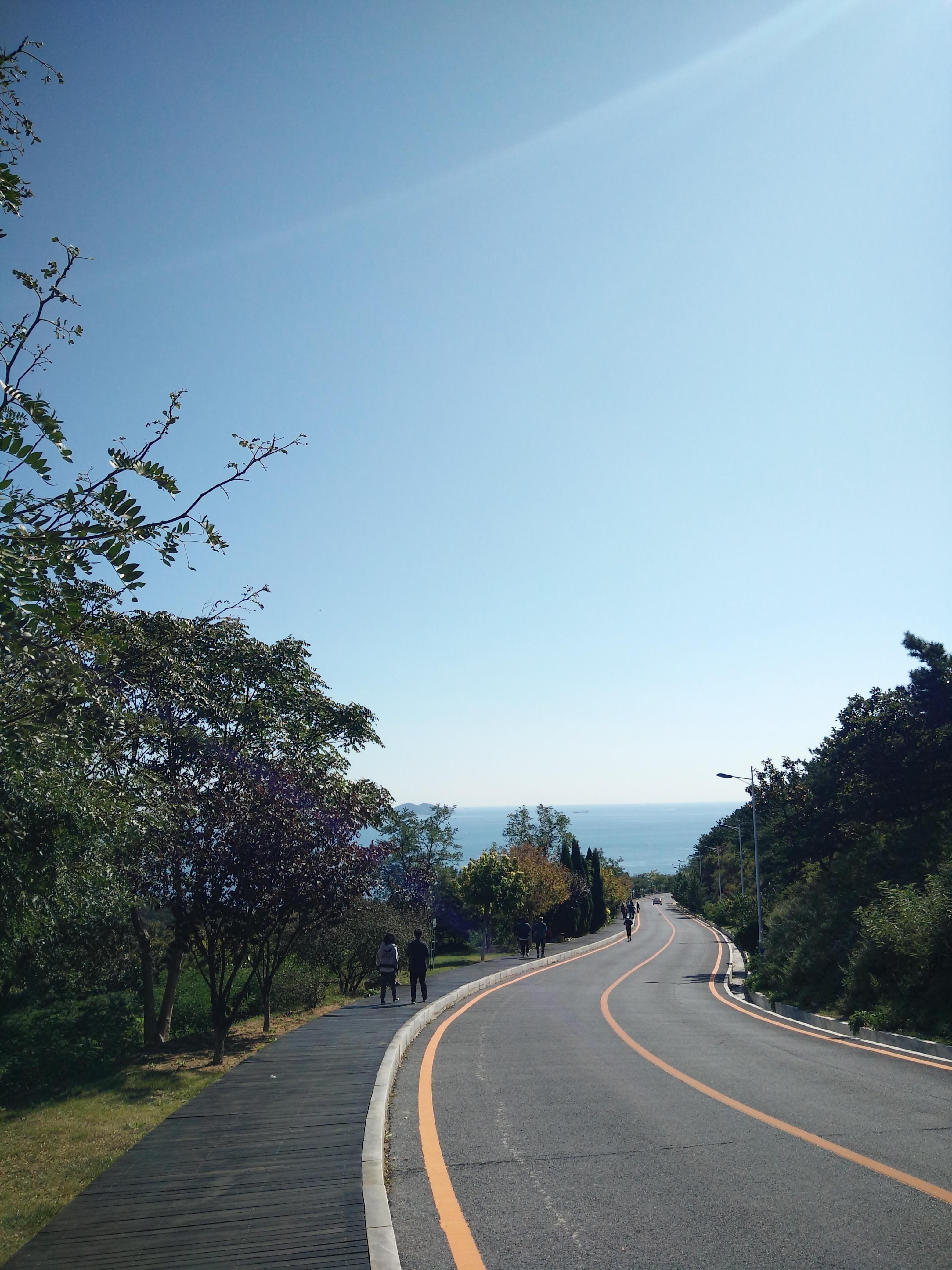 大连夏日温情录,友情、家庭与爱的交织日常